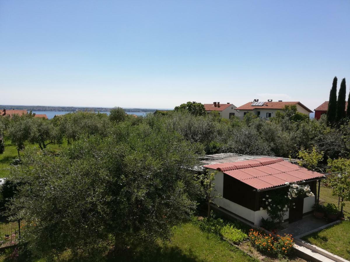 Apartma Iva Pirano Esterno foto